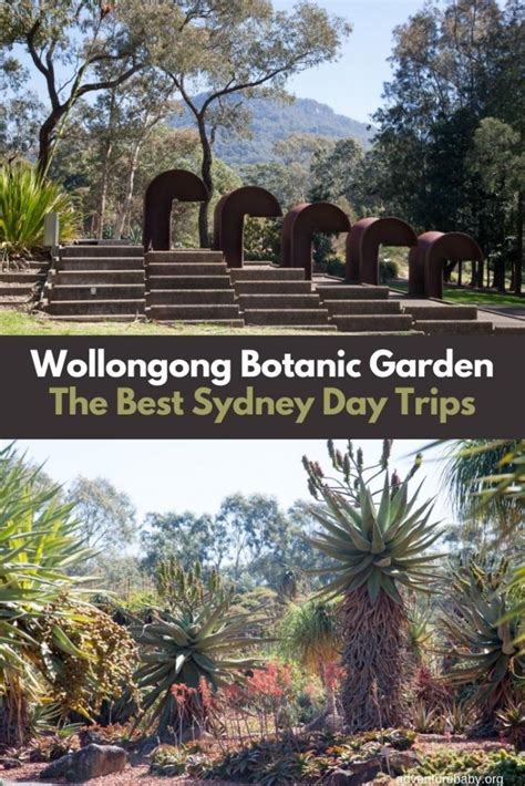 Sydney Day Trips: Wollongong Botanic Garden - Adventure, baby!