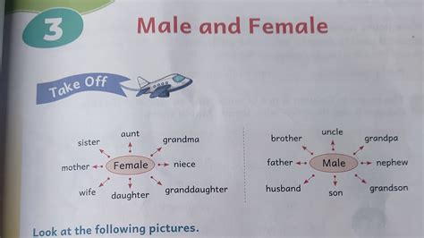 Class 3rd Lesson 3 Everyday English Grammar And Composition Solution