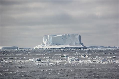 A Favourite Iceberg Avalook Our Favourite Photos