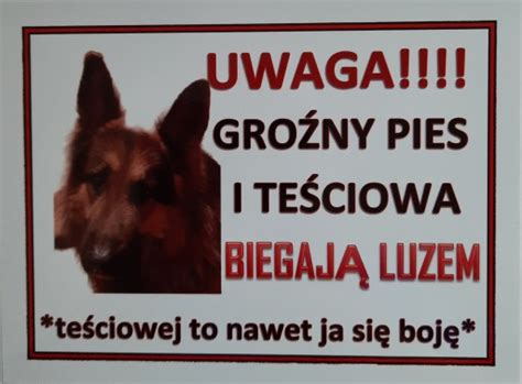 Tabliczka Ostrzegawcza Uwaga Pies Allegro Pl