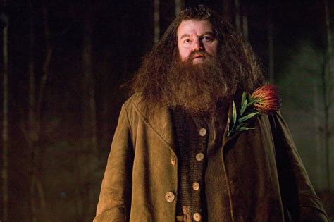 Muere Robbie Coltrane Actor Que Dio Vida A Hagrid En Harry Potter