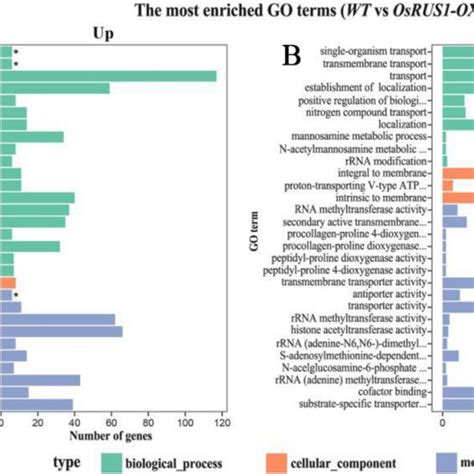 Histogram Of Gene Ontology GO Classification Of Differential