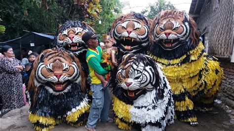 Can Macanan Singo Manggala Dan Drumband Gema Nada Di Pengarang Part