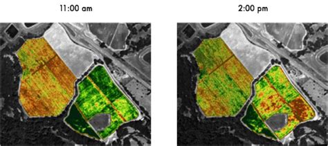 Understanding Ndvi Measuring Plant Vitality And Its Limitations Open Source Gis Data