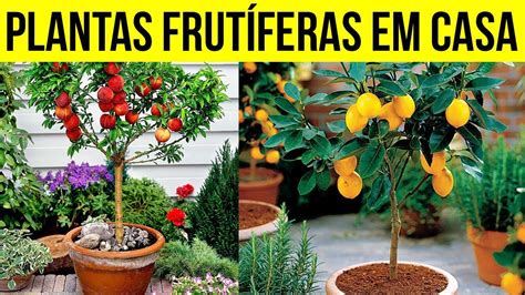 13 Plantas FRUTÍFERAS para Cultivar em Vasos na sua Casa YouTube