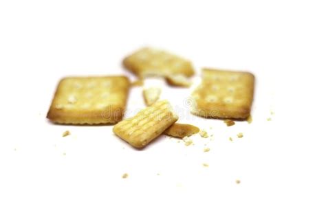 337 Broken Biscuits Close Up Stock Photos Free Royalty Free Stock