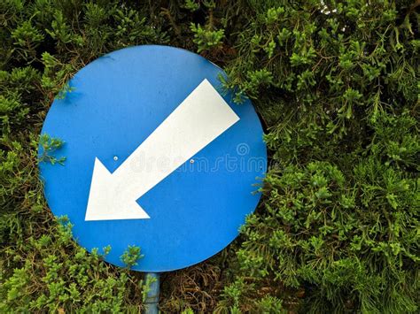 Signo De Flecha De Círculo Azul Y Blanco Con Fondo De Hojas Verdes