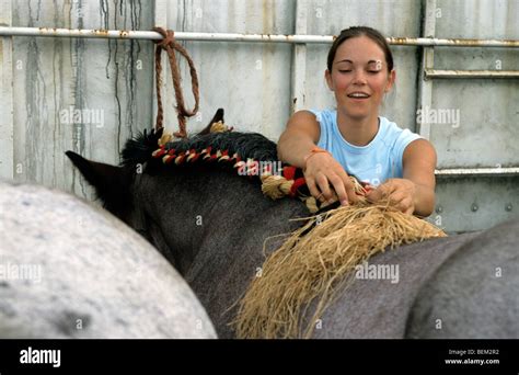 Horse mane braiding hi-res stock photography and images - Alamy