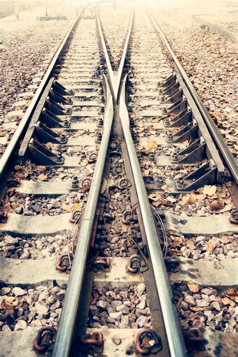 Due Ferroviari O Binari Ferroviari Per Il Trasporto Del Treno Stile D