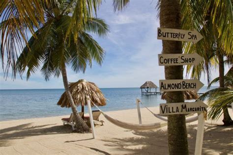 From The Beach To The Jungle On This Belize Fam Recommend