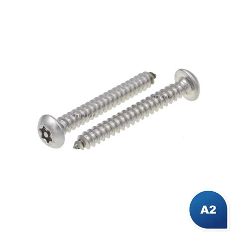 Sicherheits Blechschrauben Edelstahl A Torx Mit Pin