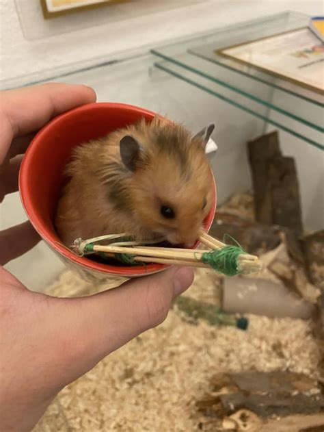 Ratirl Face Reveal Finally Rtwitchmains