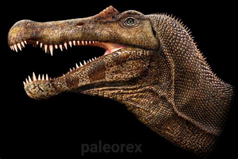 This Artist Depicts How Prehistoric Animals Mightve Actually Looked