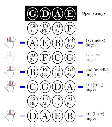 Fileviolin First Position Fingering Chartsvg Wikimedia Commons