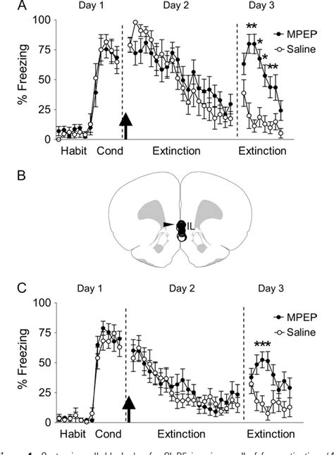 Figure 1 From Memory For Fear Extinction Requires Mglur5 Mediated