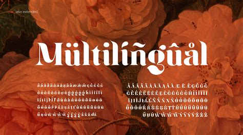 Ginko Display Font Behance