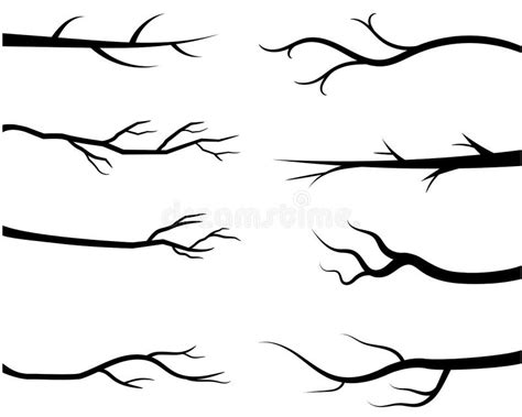 Silhouettes Nues De Branche D Arbre Illustration De Vecteur