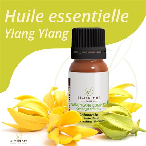 Almaflore Huile Essentielle D Ylang Ylang Bio Ml Curvita