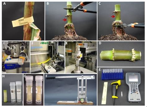 Core Sampling Procedure The Process Of Obtaining Core Samples Involves