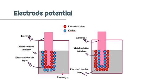 SOLUTION Electrode Potential Studypool