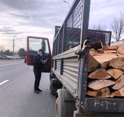 Poli I Tii Const N Eni Au Dat Amenzi Pentru T Ieri Ilegale De Copaci