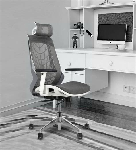 Buy Spider Breathable Mesh Ergonomic Chair In White Grey Colour