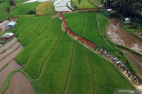 Batagak Panghulu Tradisi Peresmian Seorang Penghulu Di Minangkabau