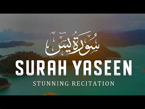 Surah Yasin Yaseen Full With Arabic Voice And Relaxing Mind Beautiful Quran