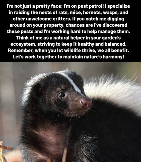 Gardening Tips & Tricks added a... - Gardening Tips & Tricks