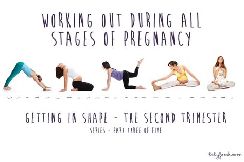 What Exercise Can You Do In First Trimester Online Degrees