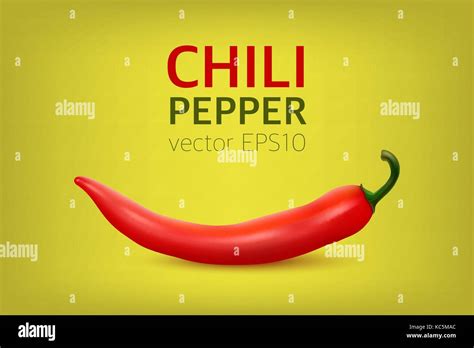 Vector Realistic Red Hot Natural Chili Pepper Design Template Or Clipart For Culinary