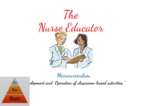 Solution The Nurse Educator And Clinical Teaching Studypool