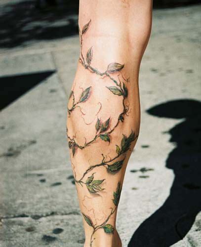 Tatouages De Plantes Et De Fleurs Grimpantes