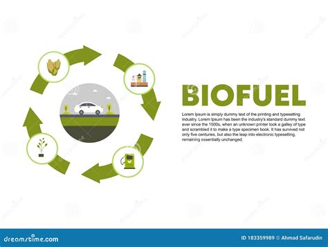 Biofuel Life Cycle Vector Lignocellulosic Biomass Production Ethanol