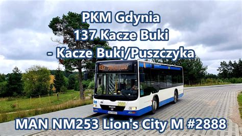 Pkm Gdynia Linia Man Nm Lion S City M Youtube