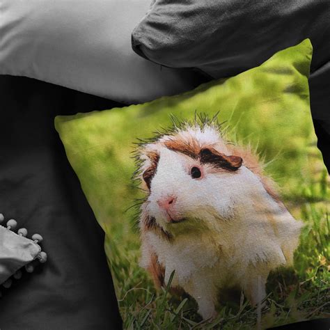 Guinea Pig Throw Pillow Home Decor Etsy