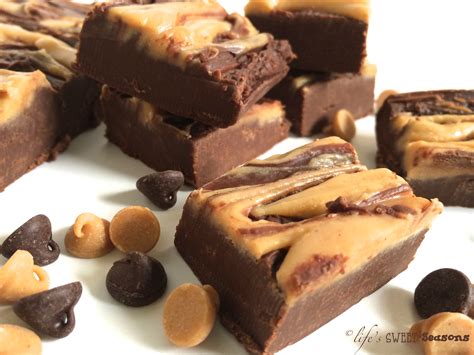 Easy Peanut Butter Swirled Chocolate Fudge Lifes Sweet Seasons