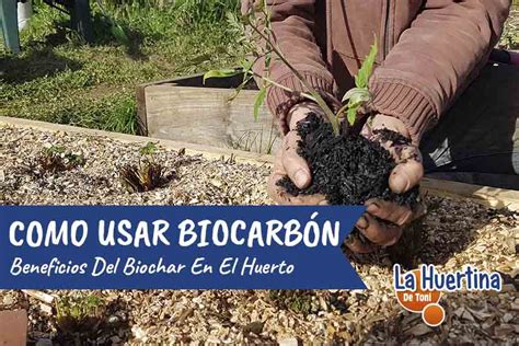 Como Usar El Carbón Beneficios Del Biochar En El Huerto La Huertina