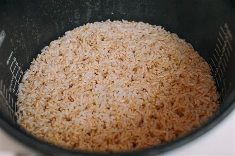 How To Cook Brown Rice In A Rice Cooker Howto Techno