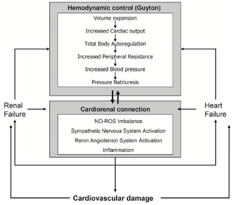 The Cardiorenal Connection Works Extensive To Guyton S Model To Drive