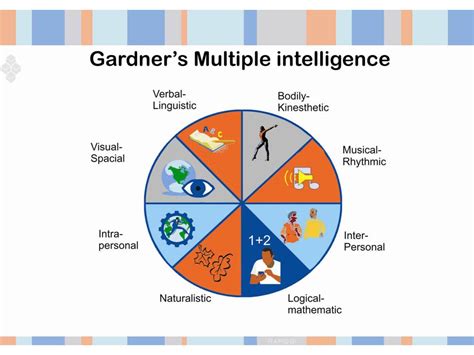 Gardner S Multiple Intelligence Theory