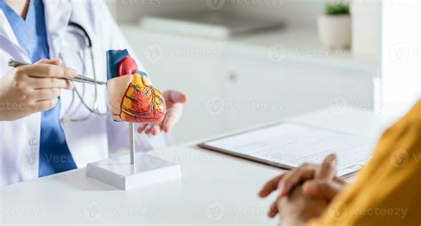 Cardiology Consultation Treatment Of Heart Disease Doctor Cardiologist