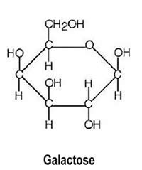 Chemical Makeup Of Glucose - Mugeek Vidalondon