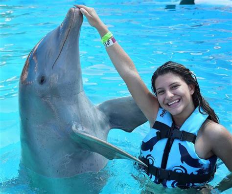 swim-with-dolphins-aquaventuras-park | Swim with Dolphins with Dolphin ...