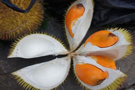 Sweet Like Candy : : :: Durian Sabah