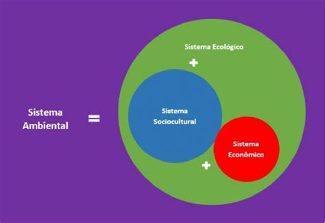 Modelo Estrutural Da Sustentabilidade Elementos E Hierarquia Fonte