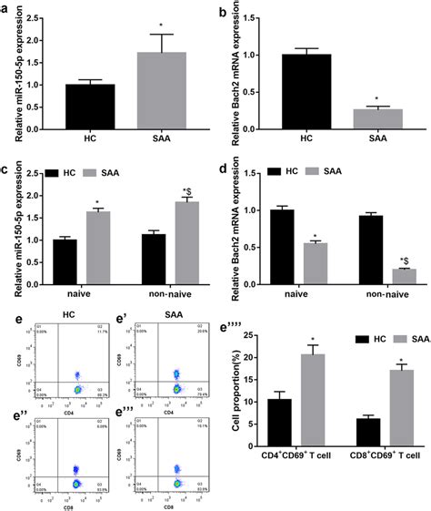 Abnormal Expression Of Mir P And Bach And T Cell Activation In