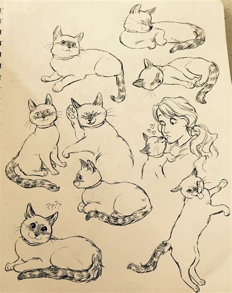 Эскиз кота карандашом - 80 фото