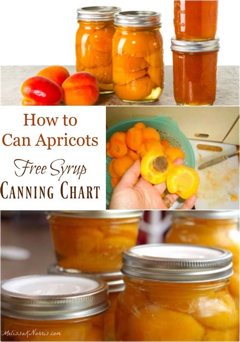 How To Can Apricots Easy Canned Apricots Recipe Melissa K Norris