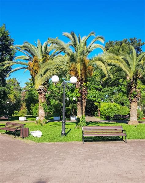 Un Rinc N Acogedor De Un Parque Urbano Tropical Con Bancos Faroles